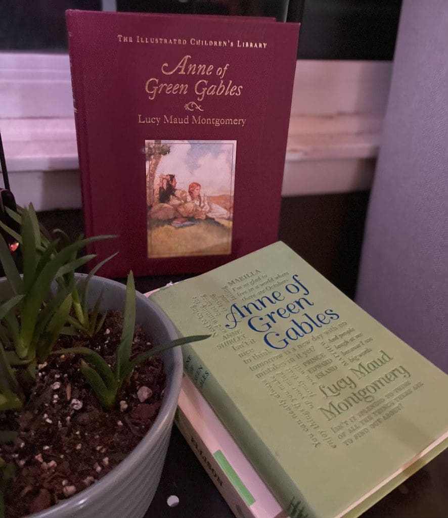 Novels are lined up beautifully on a decorated table