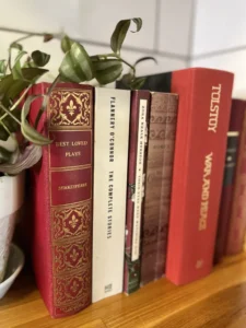 Books are arranged beautifully on a shelf
