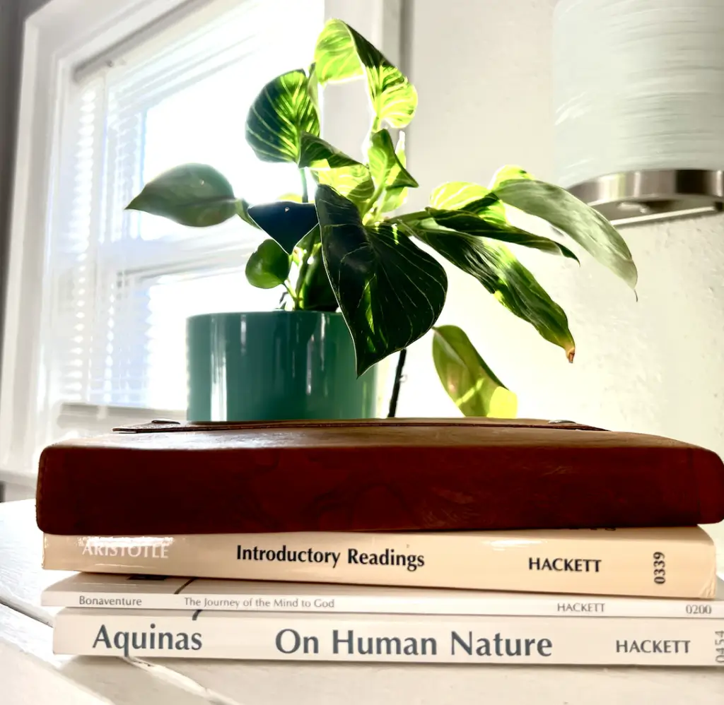 a stack of four books and a plant