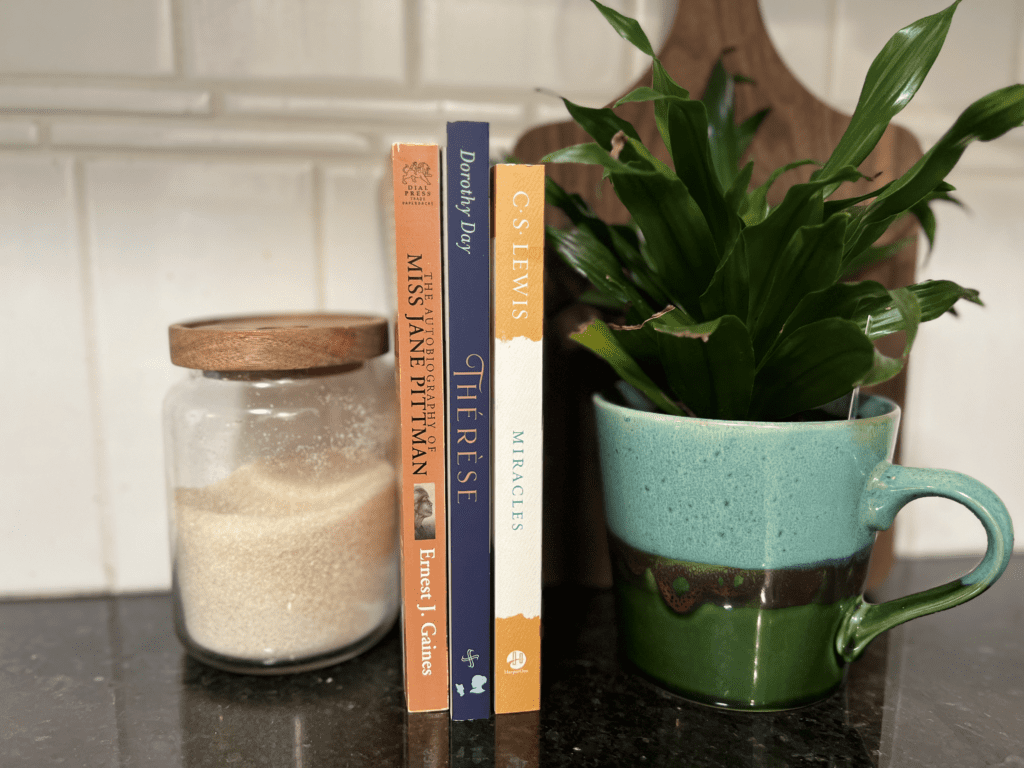 three books and a potted plant