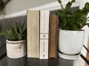 three books between two potted plants
