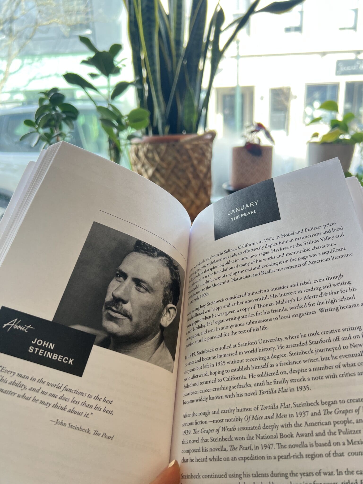 The Old and the New Rediscovering Literature WellRead Mom